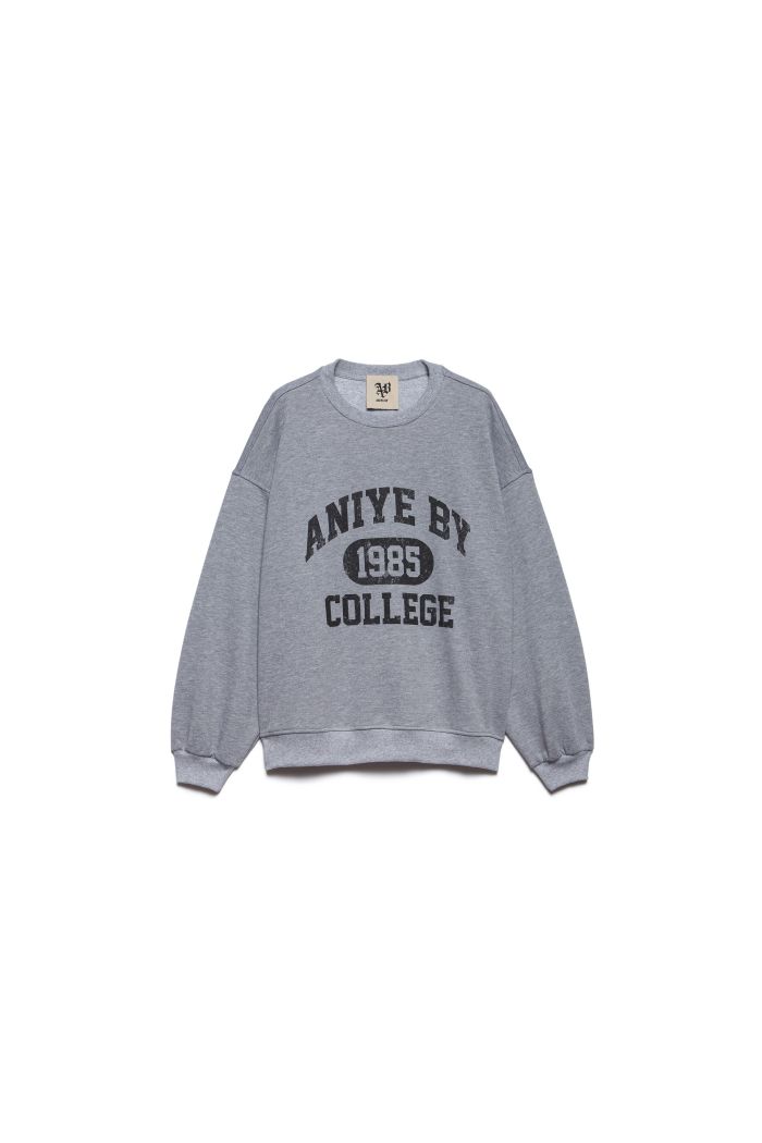 SWEATSHIRT COLLEGE - Gray