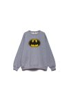 Gray bat