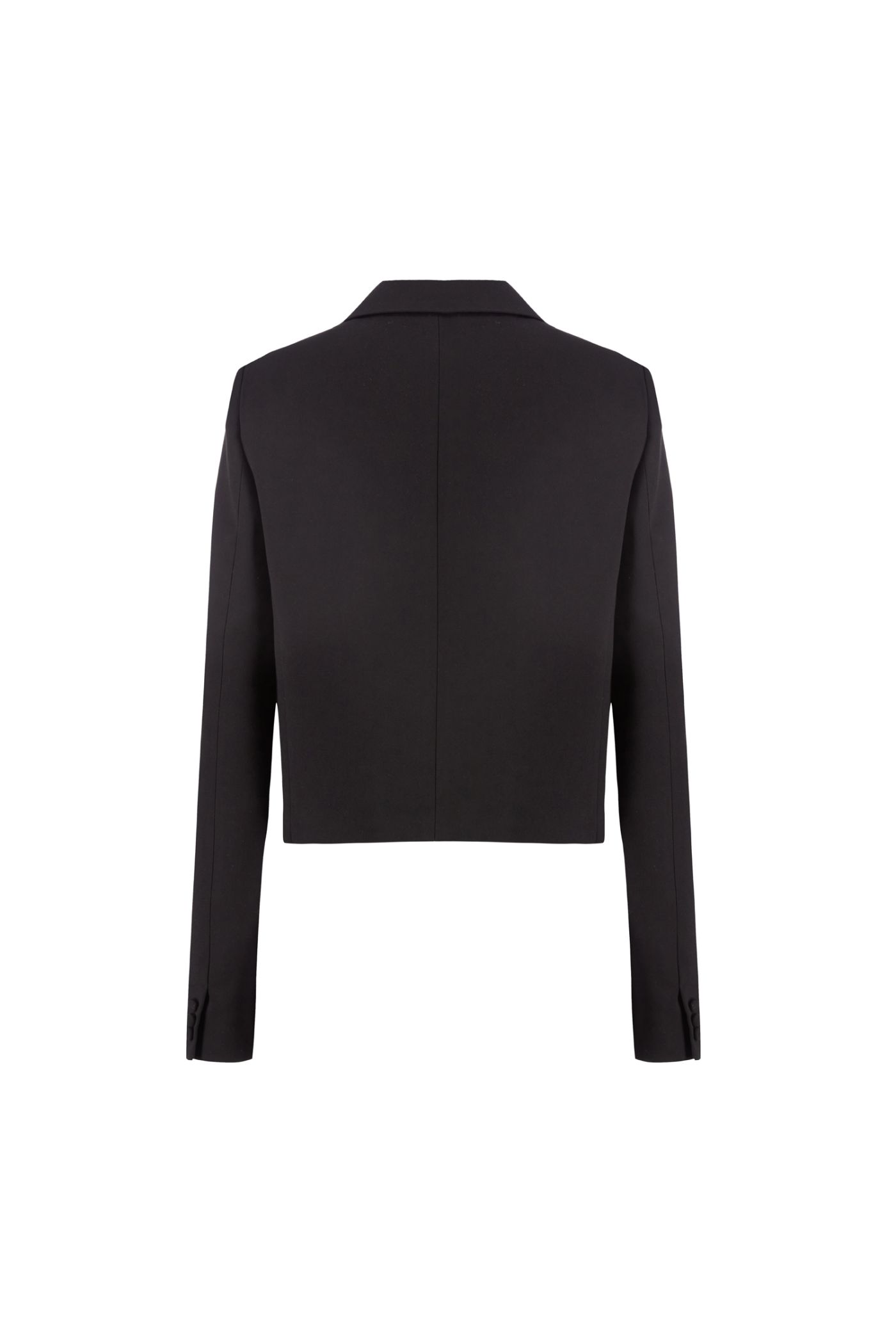 CROP BLAZER DANDY