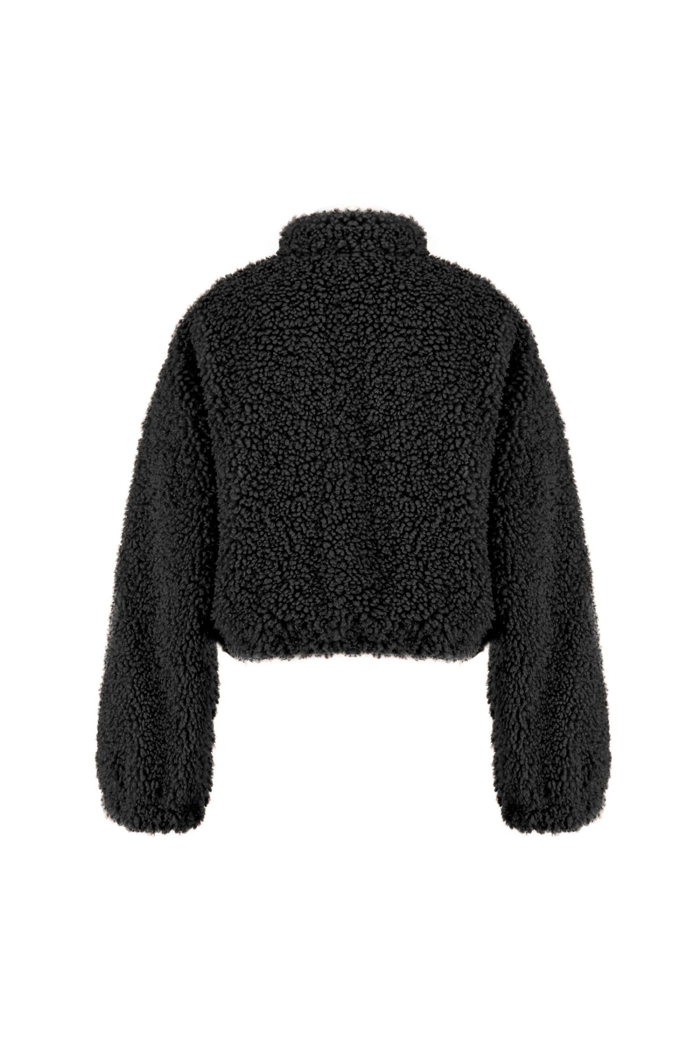 BOMBER TEDDY