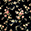 Black bloom
